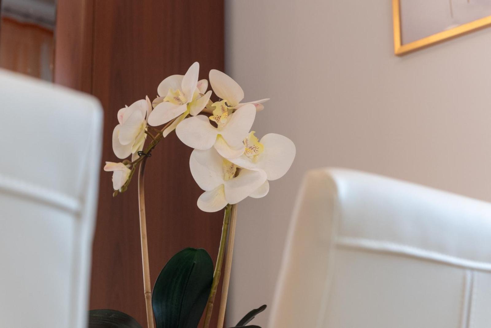 Apartment Anita Trogir Ngoại thất bức ảnh